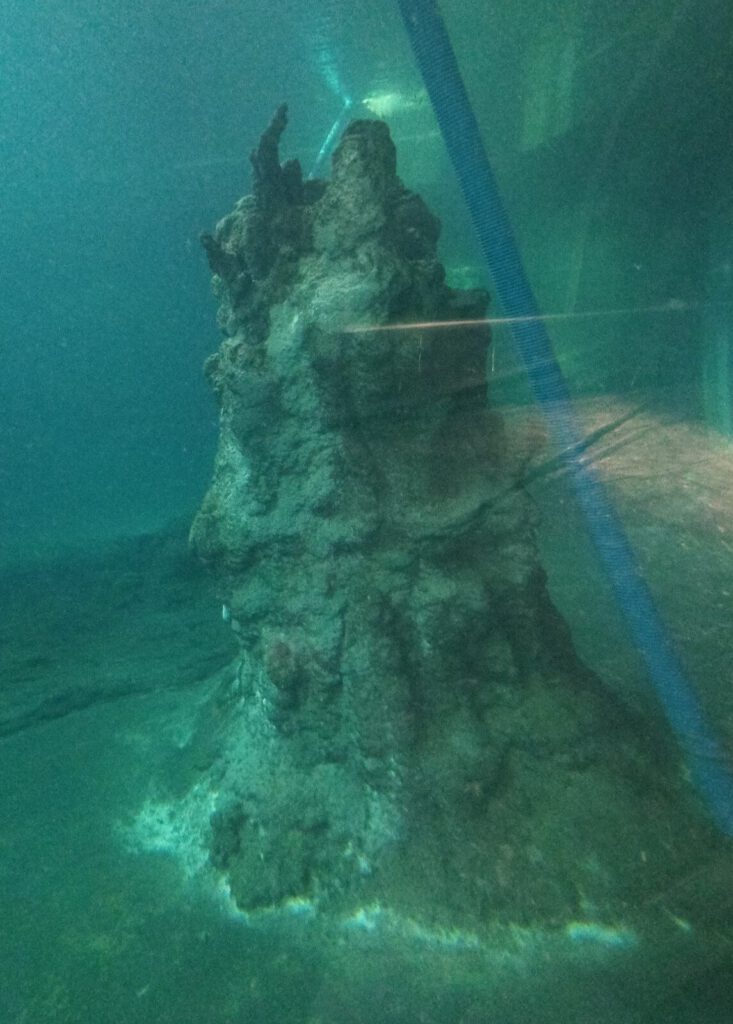 Sztuczne skały podwodne 342n