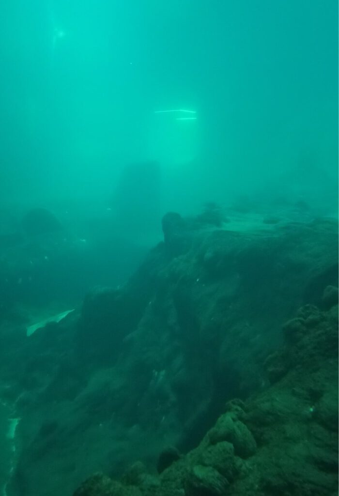 Sztuczne skały podwodne 733n