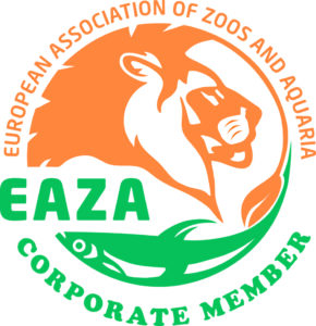 EAZA Corp
