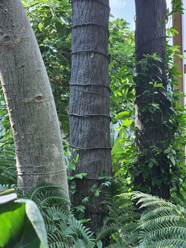 Umělé exotické stromy - sloupy vyhlídkových plošin