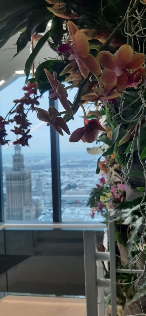 Live plants on an artificial tree, in the background the Palace of Culture and Science in Warsaw