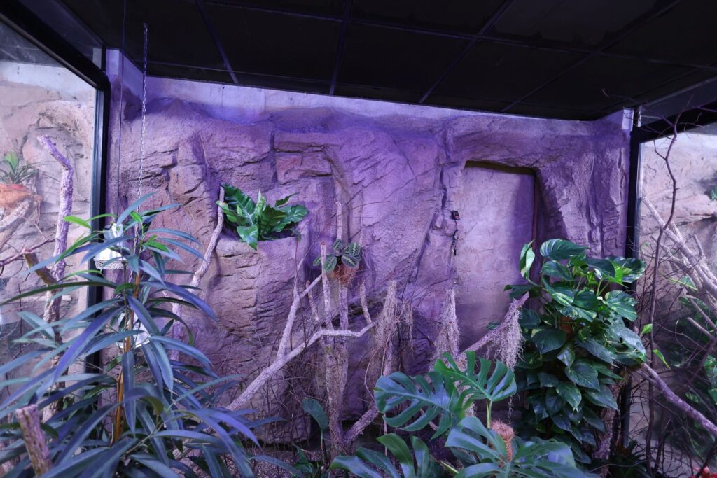 The camouflage of the terrarium entrance door relates to the design of the entire room.