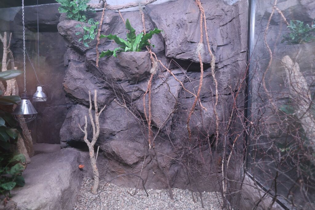 Kieszenie do zasadzenia roślin w ścianie zaaranżowanej przy pomocy betonu…
