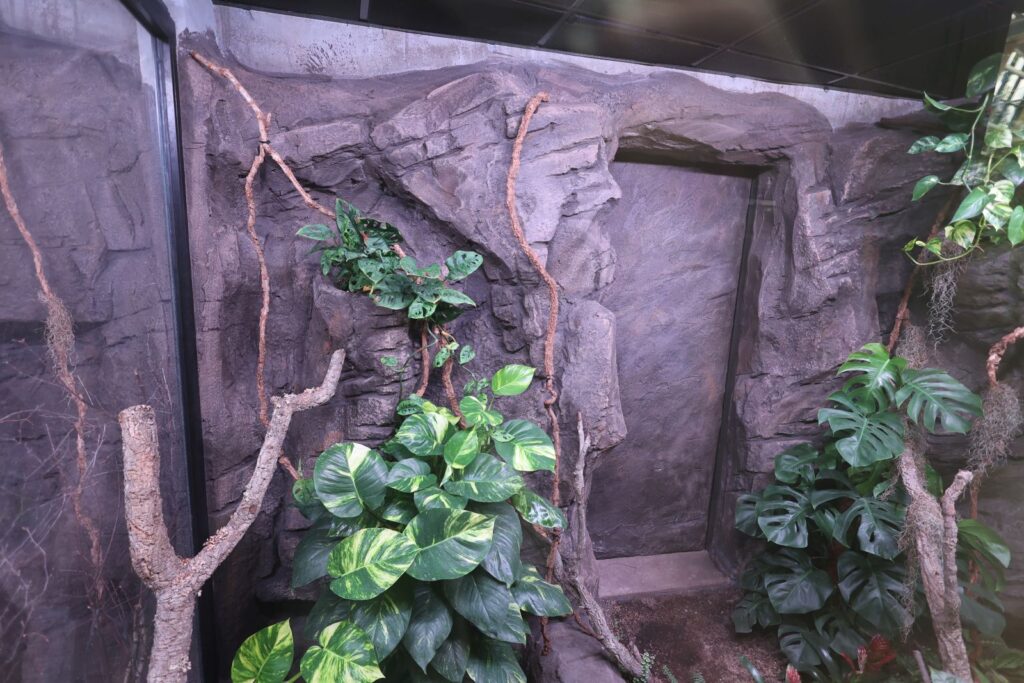 The camouflage of the terrarium entrance door relates to the design of the entire room