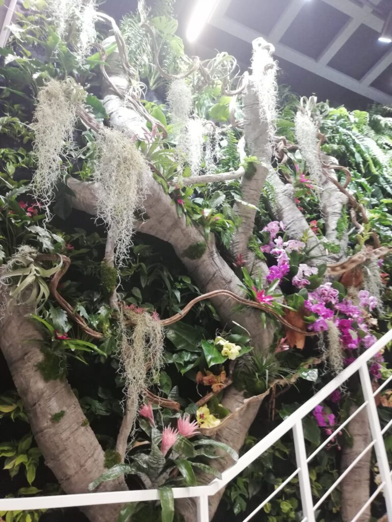 Větve umělého stromu se živými rostlinami